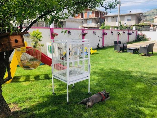 Apartman Mona Podgorica Bagian luar foto